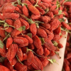 China Qinghai Goji Berries